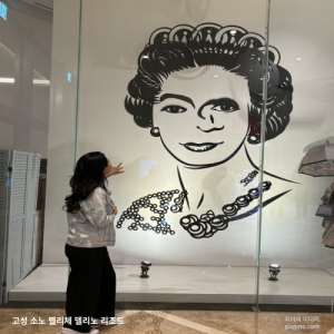 고성 소노펠리체 델피노 리조트