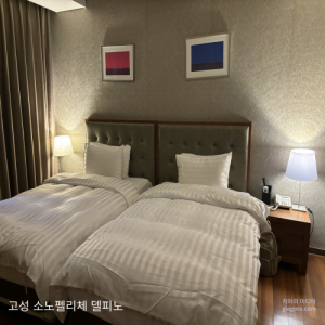 고성 소노펠리체 델피노 리조트