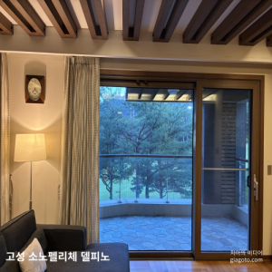 고성 소노펠리체 델피노 리조트