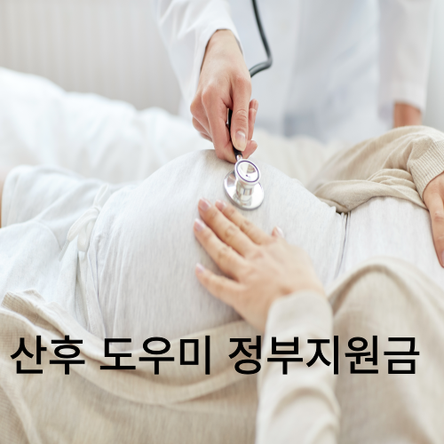 산후도우미 정부지원금