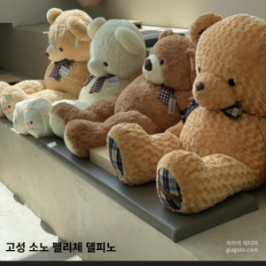 고성 소노펠리체 델피노 리조트