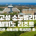 고성 소노벨리체 델피노 리조트