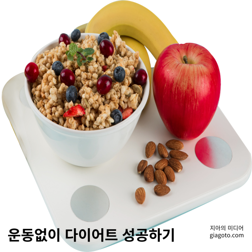 운동없이 다이어트 성공하기