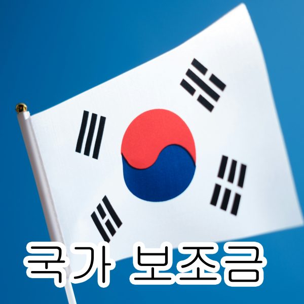 국가보조금