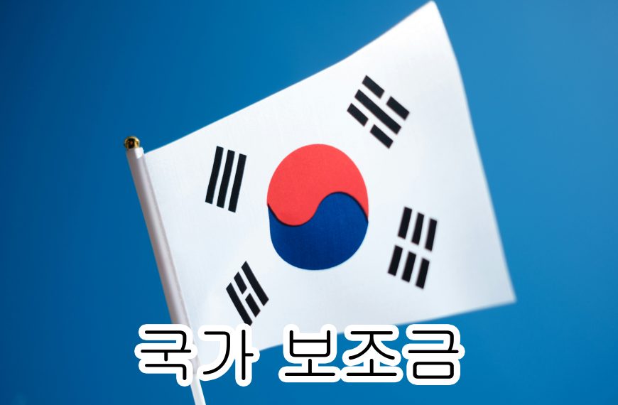 국가보조금